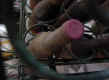 DSC00951.JPG (1372129 Byte)